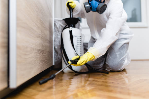 Pest Prevention Services in Fayetteville, NC