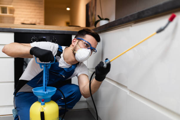 Professional Pest Control in Fayetteville, NC