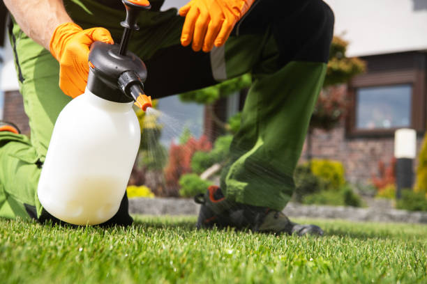 Best Rodent Control Near Me  in Fayetteville, NC