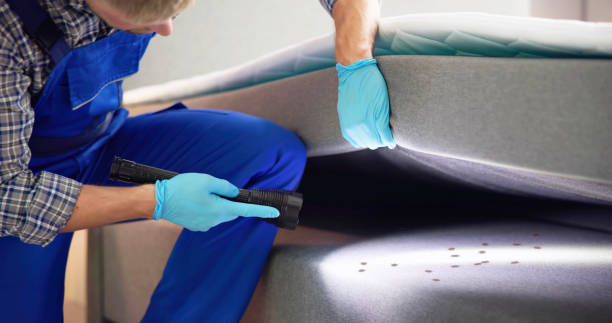 Best Pest Prevention Services  in Fayetteville, NC