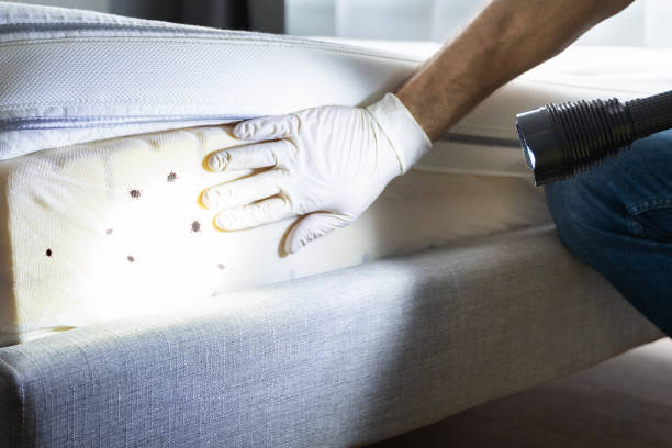 Best Emergency Pest Control  in Fayetteville, NC