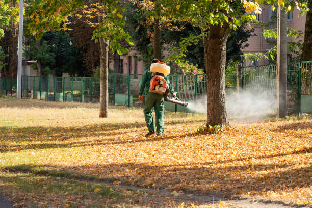 Best Spider Control Near Me  in Fayetteville, NC
