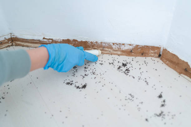 Best Pest Control Near Me in Fayetteville, NC