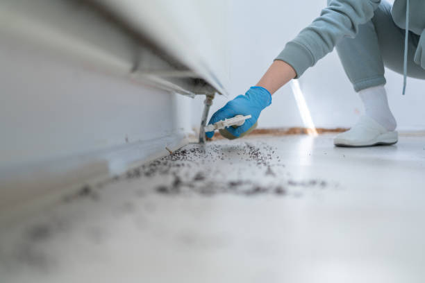 Best Pest Inspection Near Me  in Fayetteville, NC