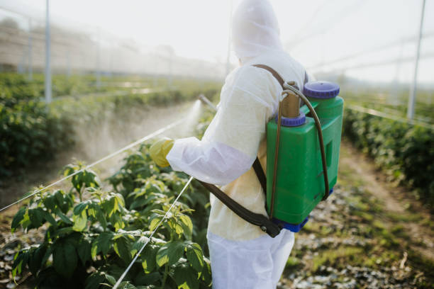 Best Pest Inspection Near Me  in Fayetteville, NC